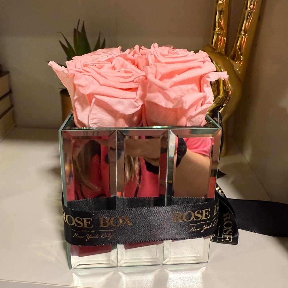 Rose Box Light Pink Roses Mirror Modern Mirror - Picture 3 of 4